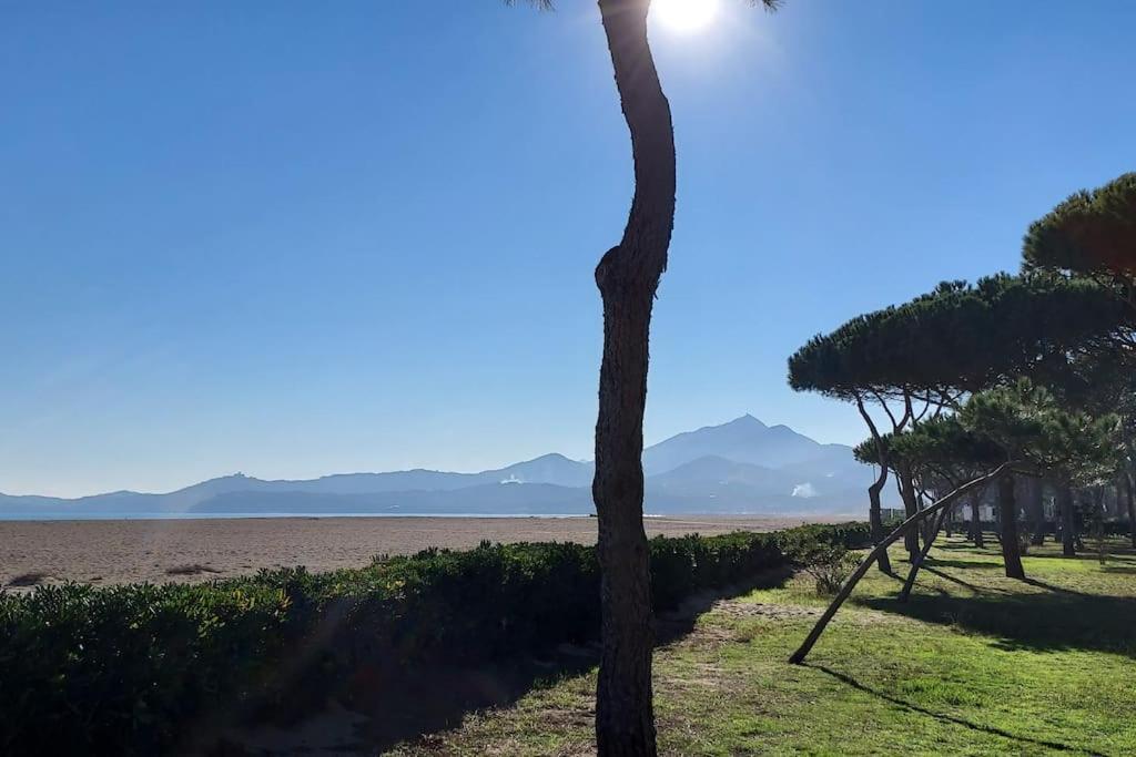 Appartement Renove Avec Balcon A 100 M De La Plage Argelès-sur-Mer Exterior foto